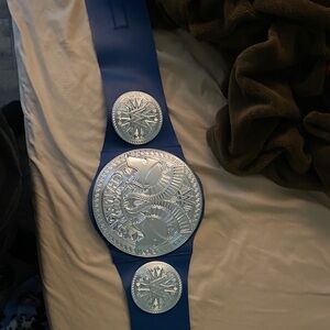 WWE Blue and Silver Championship Belt